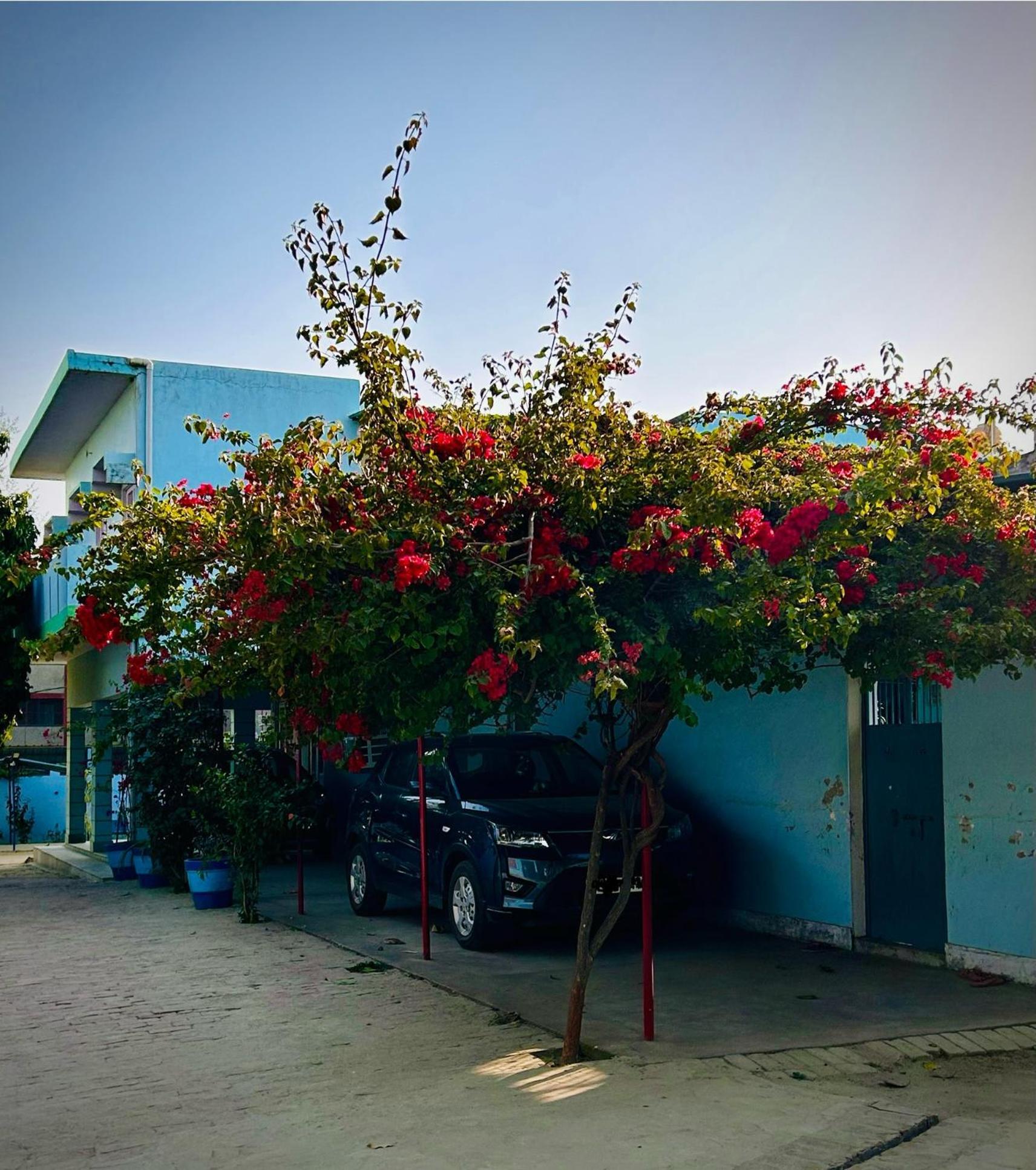 Ayodhya Gooseberry Garden 빌라 외부 사진
