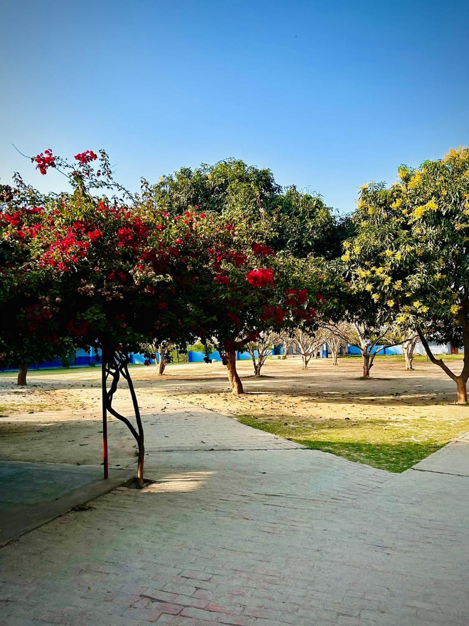 Ayodhya Gooseberry Garden 빌라 외부 사진